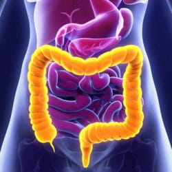 Gastroenterologist