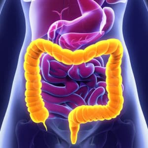 Gastroenterologist diagram illustration of the intestines and gut highlighted in yellow and red over a human body