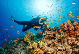 Marine biologist diving at a coral reef