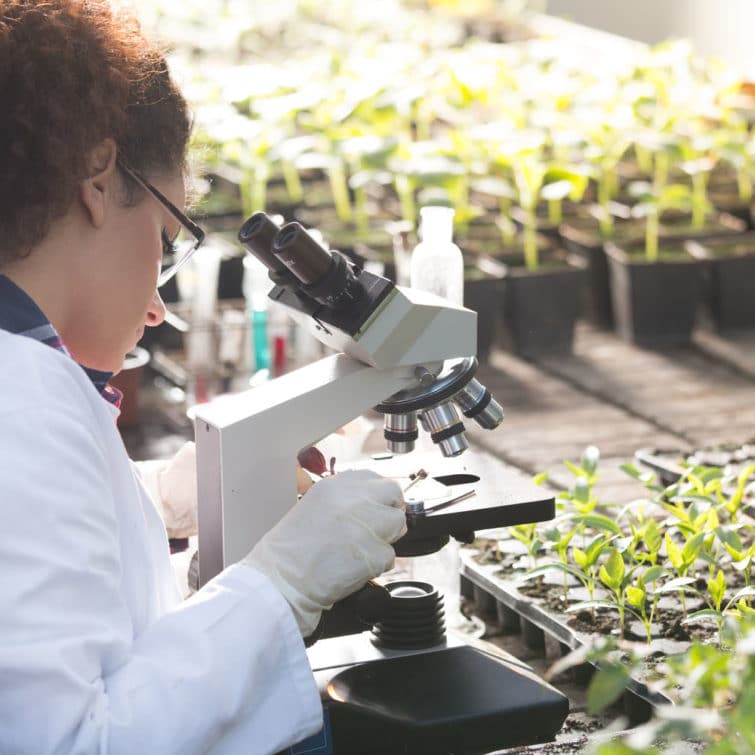 Environmental Science Major Courses For Degree Career Girls environmental-science-major-courses-for-degree-career-girls
