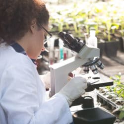Environmental Scientists