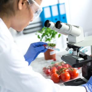 Women Scientist studying vegetables.