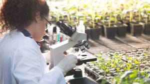 Environmental Scientist examines soil sample with microscope