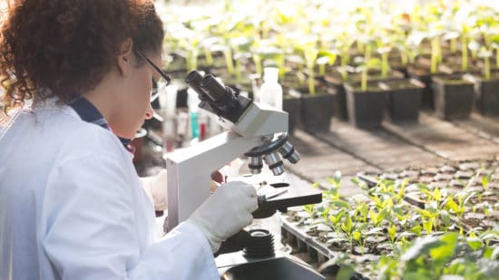 how to become an environmental scientist environmental scientist