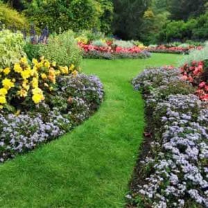 Landscape architect designed gardens with colorful beds of flowers growing along a curved pathway of lush bright green grass