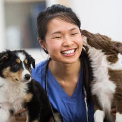 Veterinary Careers