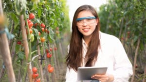 Female agricultural engineer with safety glasses holds a tablet and inspects a field of red ripened tomatoes