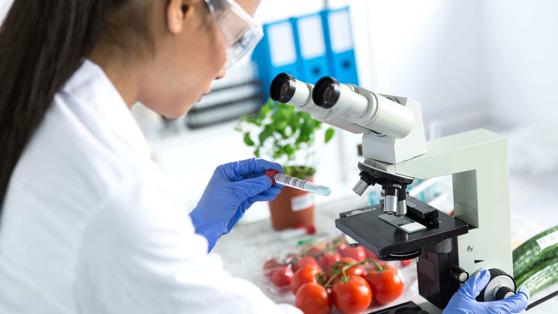 How to Become a Food Scientist - Career Girls - Explore Careers