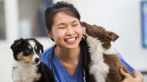 Veterinarian