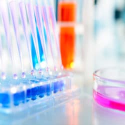 Biomedical Engineer
