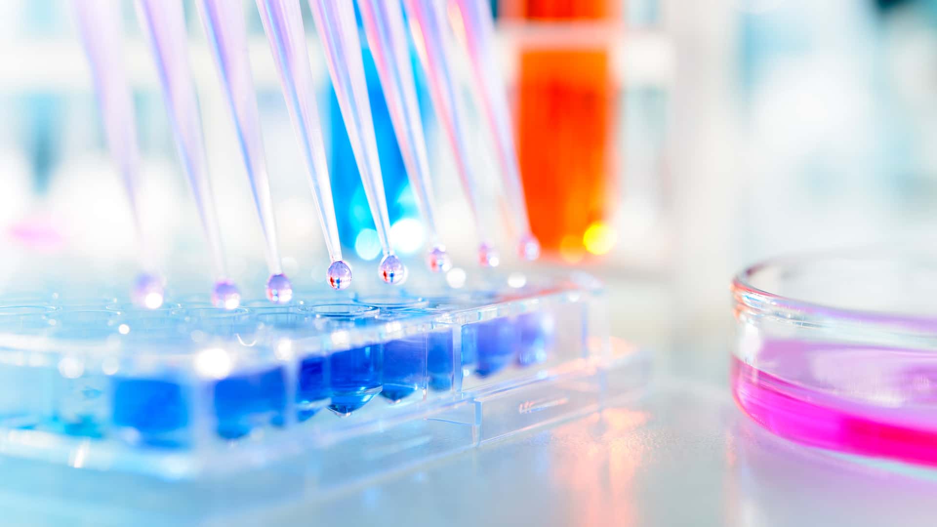 Biomedical engineer's array of clear plastic test tubes filled with pink, orange and blue chemicals in a lab setting
