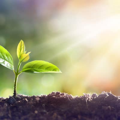 Environmental Health