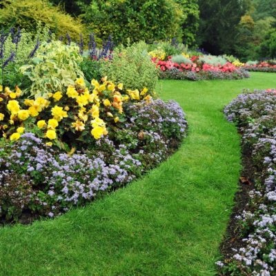 Landscape Architect