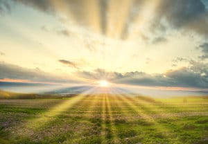 Rays of morning sunshine over green field