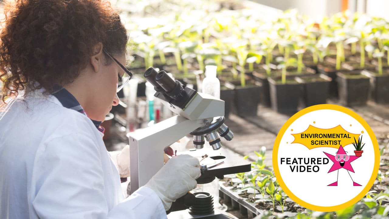 How to an Environmental Scientist Career Girls Explore Careers