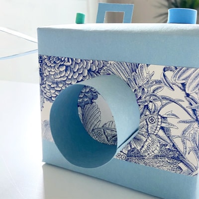 DIY Camera finished example