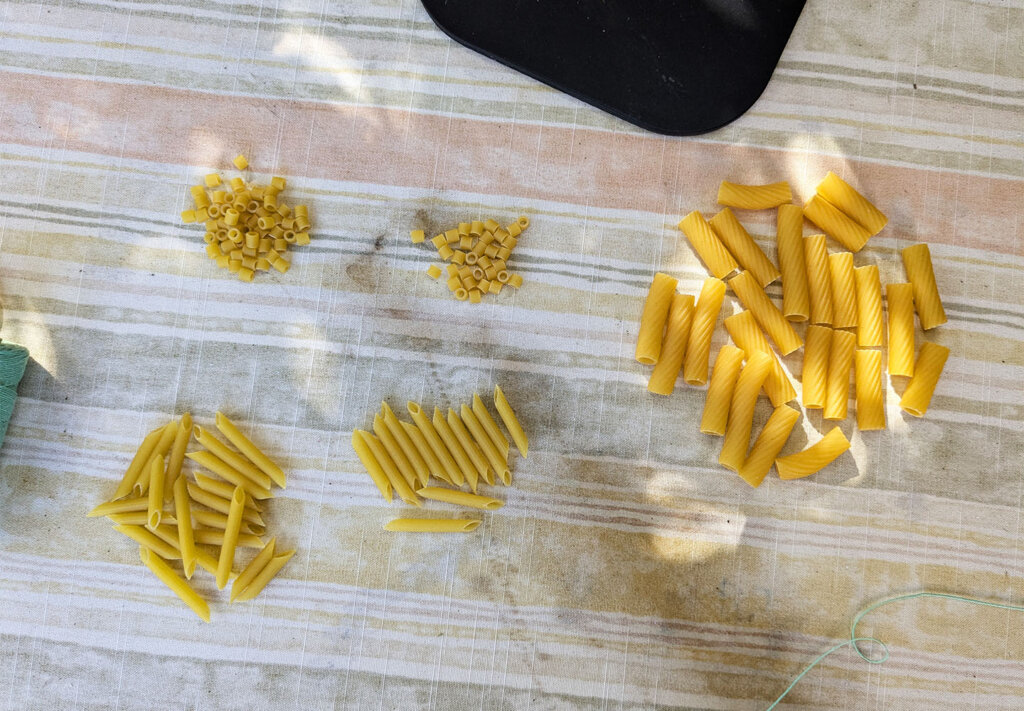 Genetics Empowerment Video Group Activity - Genetics DNA Model From Pasta - divide pasta into groups