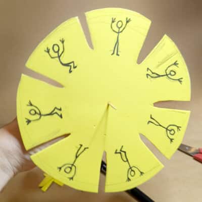 Animation Wheel Activity - completed