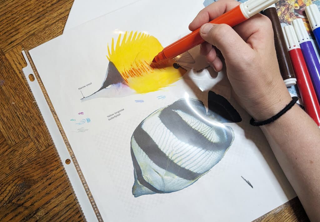 Printmaking Marker Monotype Step 3 Trace and color the image with washable markers